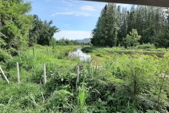 Bodhicitta Meditation Retreat Centre - canal view from guest house