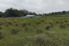 Bodhicitta Meditation Retreat Centre - utility bulding from guest house