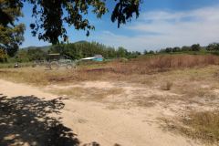 Bodhicitta Meditation Retreat Centre - Clearing before building