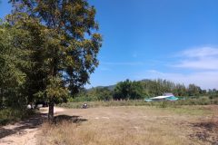 Bodhicitta Meditation Retreat Centre - Tree Mountain and Utility Building